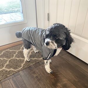 Coleman Puppy/Dog Raincoat Size Medium